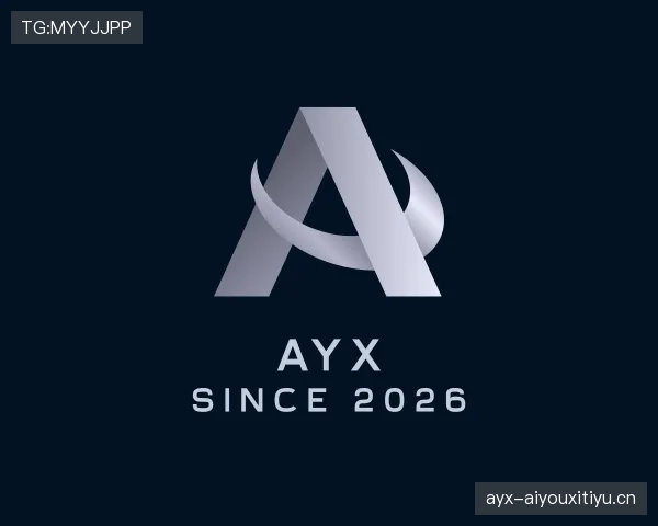 了解ayx官网